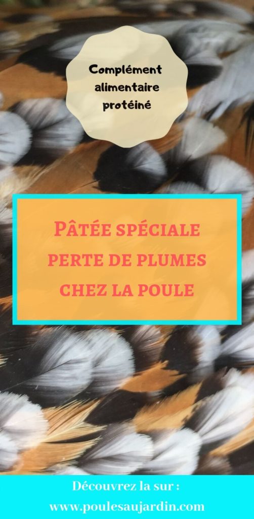 Patée pour la repousse des plumes chez la poule