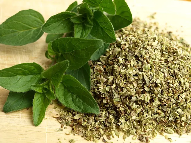 L'origan est une plante aromatique très utile aux poules. Il permet de lutter contre la coccidiose.