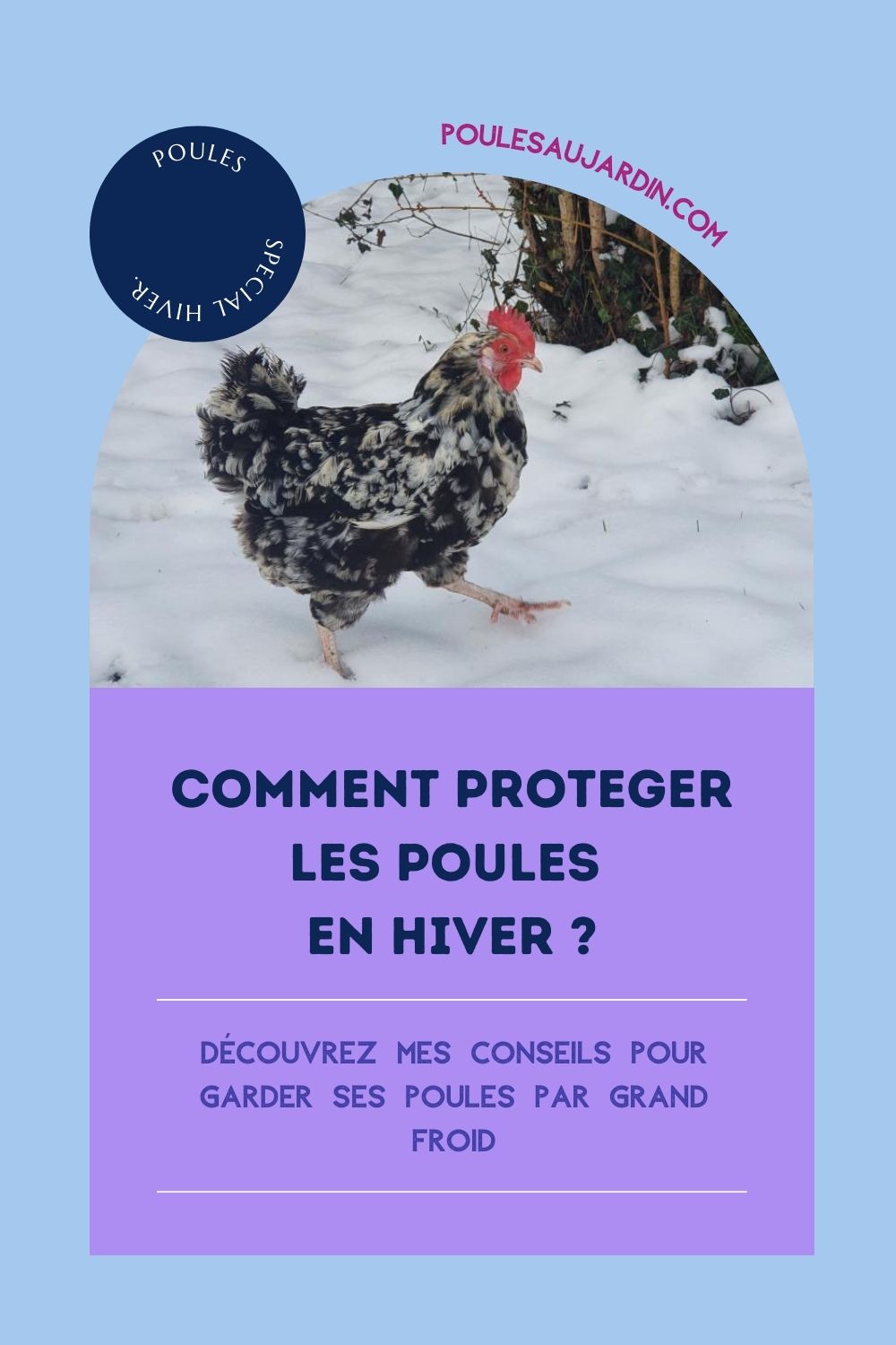 garder ses poules en hiver par temps froid