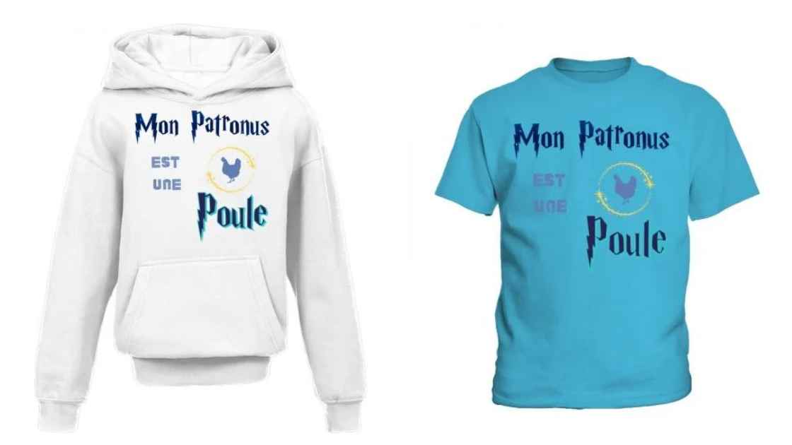 t-shirt fan poule et sorcier