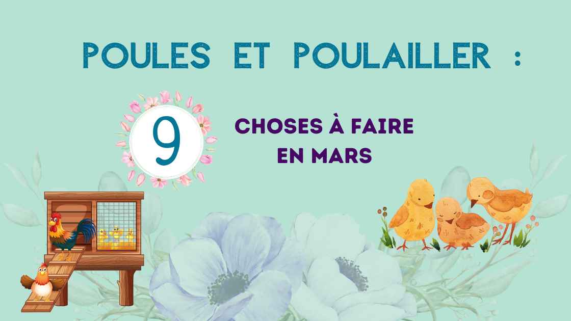 9 choses à faire en mars au poulailler