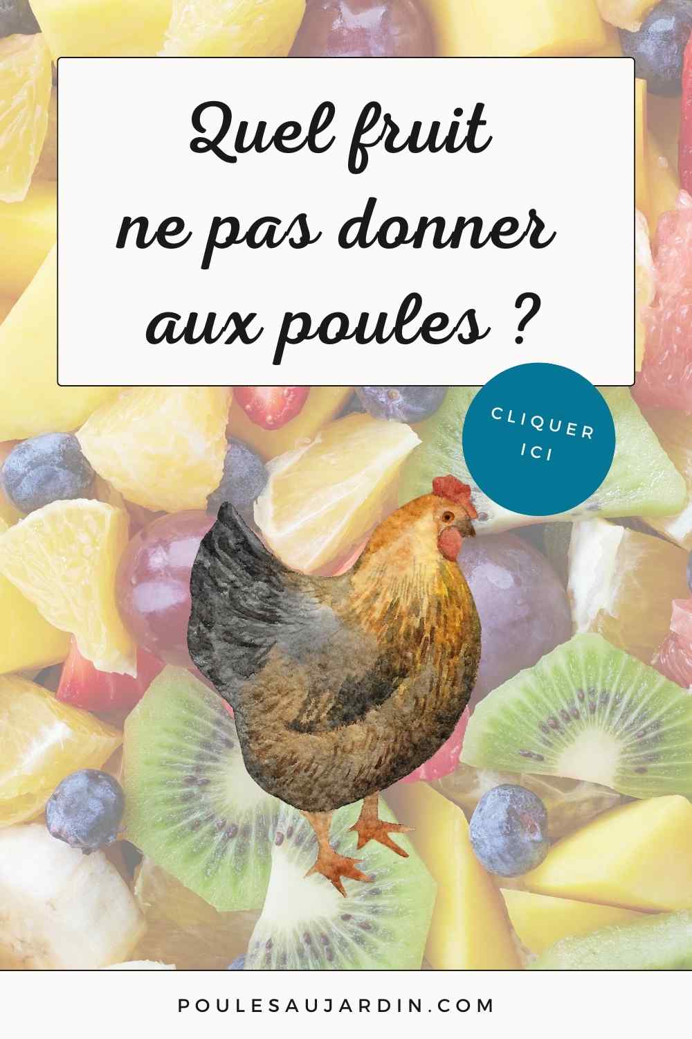 fruits interdits aux poules