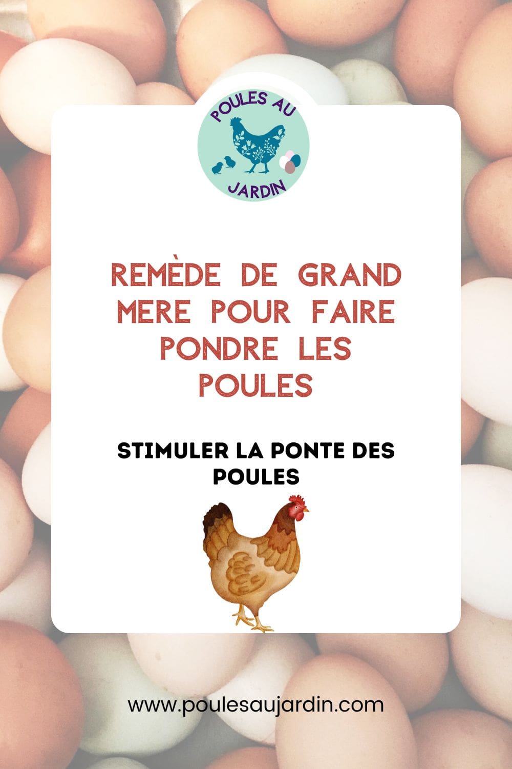 favoriser la ponte des poules