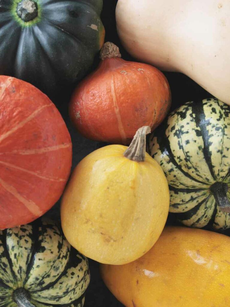 variétés de courges pour les poules